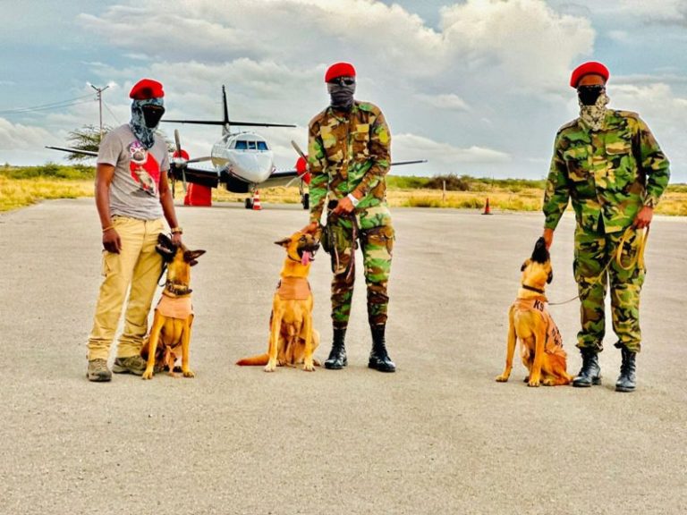 Maxay yihiin eeyaha lagu soo biiriyey ciidanka Somaliland?