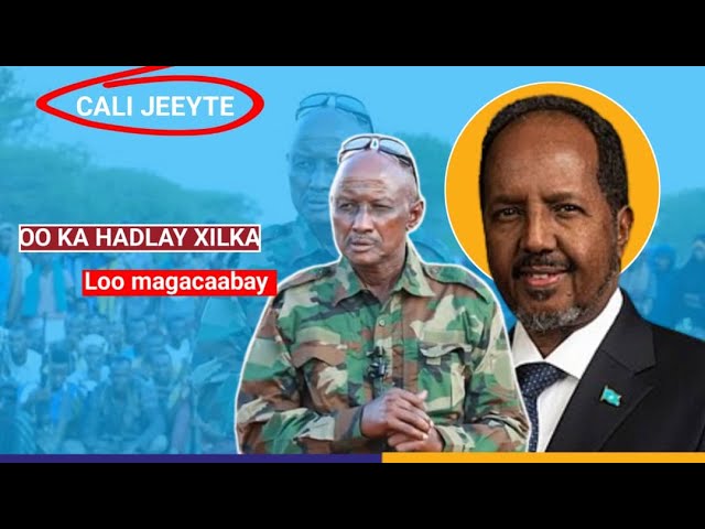 {DAAWO MUUQAALKA} Cali Jeeyte oo ka hadlay magacaabistii madaxweyne Xasan Sheekh