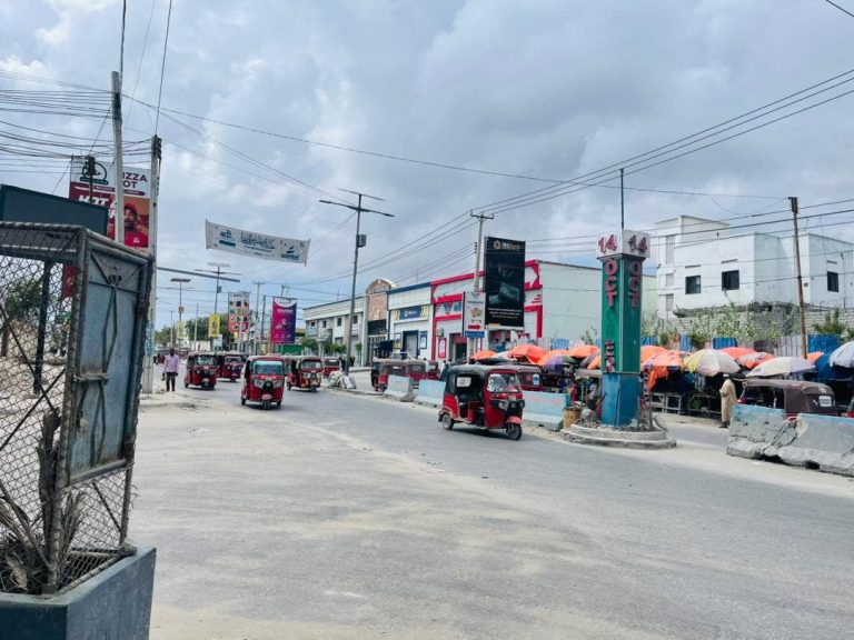 Dibadbax ballaaran oo ka socda  isgoyska  ZOOBE  ee magaalada  Muqdisho