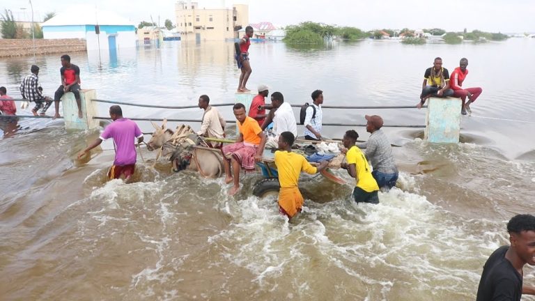 {DAAWO MUQAALKA}  Wabiga Shabeelle oo ku fatahay Xaafado hor leh oo ka tirsan Baledweyne