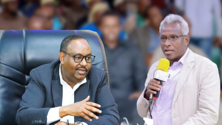 {DAAWO MUUQAALKA} Wasiirka Arimaha Gudaha Puntland”Geediga dimuqraadiyada waa kasoo baxay Caloosha hooyadii”