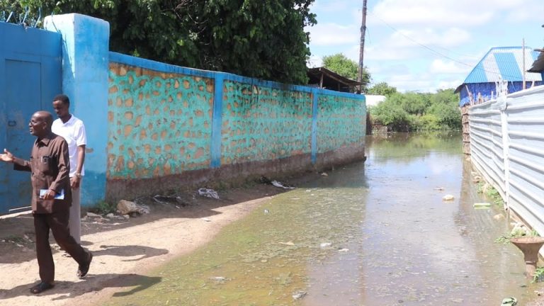 {DAAWO MUUQALKA} Wabiga shabelle oo ku fatahay xaafadaha Degmada Buulo-burte.