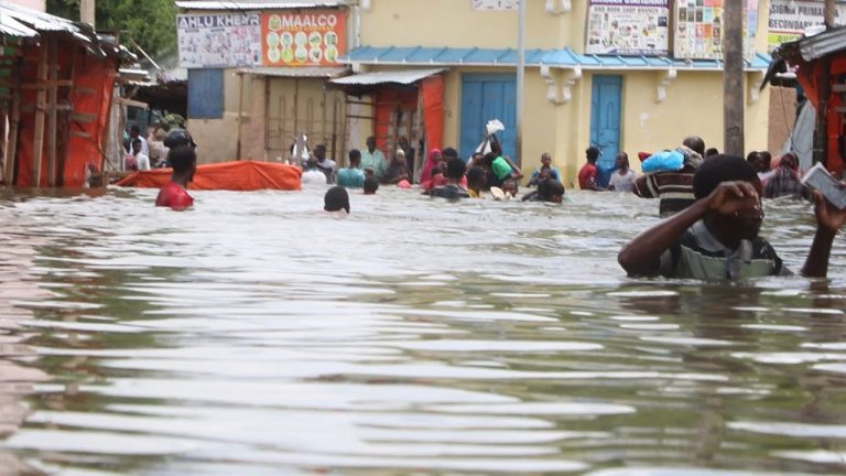 {DAAWO MUUQAALKA} Shacabka Baladweyne xaalada ay ku nool yihiin iyo Fataahada cusub ee caawa laga cabsi qabo.