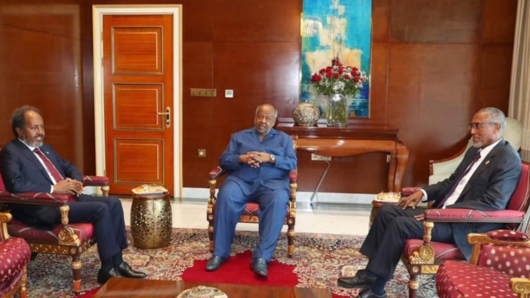 What did President Hassan Sheikh and Muse Bihi discuss?