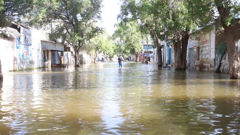 {DAAWO MUQAALKA} Xogta Fatahaada iyo Xaalada Magaalada Baladweyne ee maanta 04-12-2023