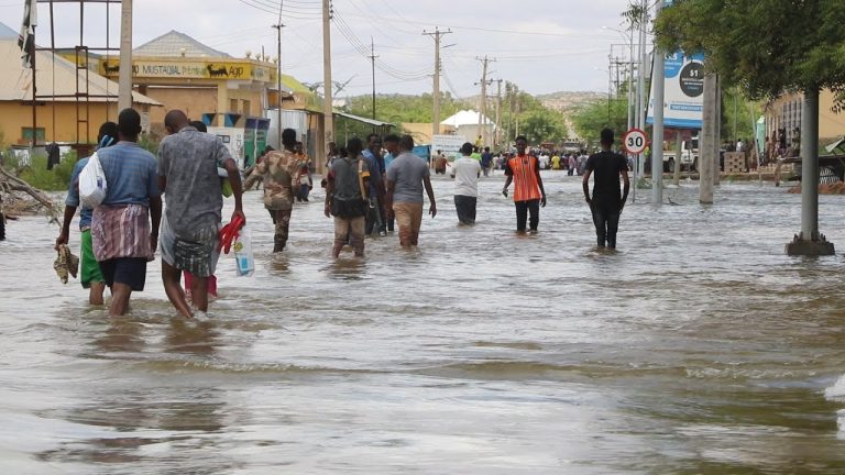 {DAAWO MUUQALKA}Doon loo isticmaalaayo Isku Socodka Magaalada Baladweyne