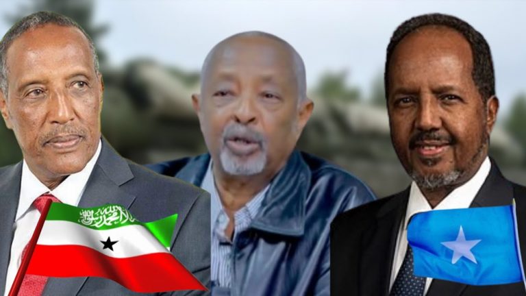 {DAAWO MUUQAALKA} Somaliland oo sheegtay in xayiraadda hubka soomaaliya laga qaaday ay halis ku tahay geeska Africa.