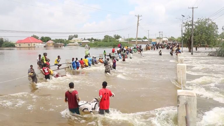 {DAAWO MUQAALKA} sidee shacabka Baladweyne wadooyinkooda ay ilaasha karaan.