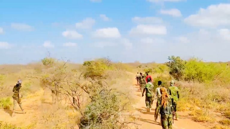 Somali commando forces destroy AS positions in Bay region