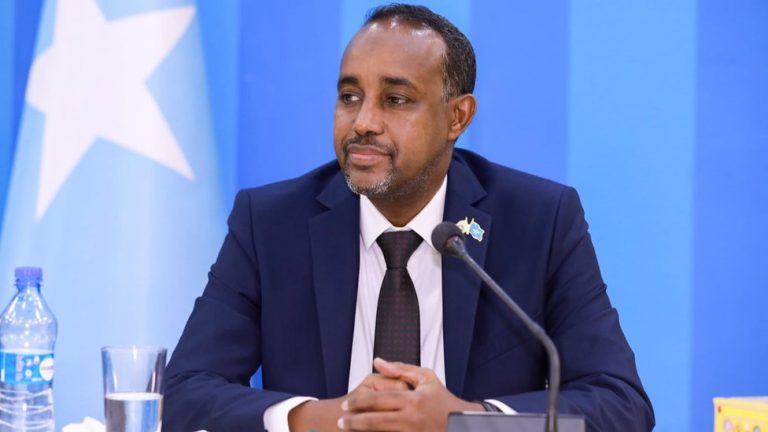 Former Somali Prime Minister urges full support for Turkey-Somalia defense pact