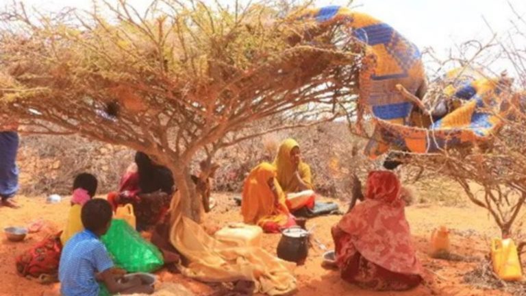 Drought and conflict hit Somali families from Ethiopia appeal for aid in Awdal, Somaliland