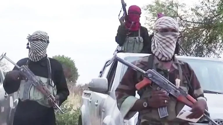 Nigeria’s Boko Haram crisis: Dozens of women feared abducted in Gamboru Ngala