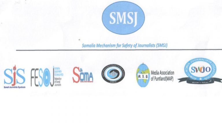 SMSJ: The Unilateral Appointment of the Somali National Media Council is Unacceptable