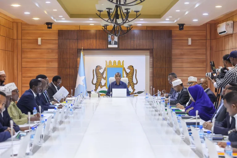 Somali Cabinet reviews remaining chapters of provisional constitution.