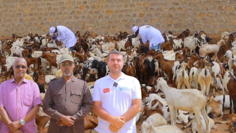 {DAAWO MUUQAALKA} Wasiirka Xanaanada Xoolaha Koonfur Galbeed Oo kormeerey goobaha lagu bixinaayo udxiyada.