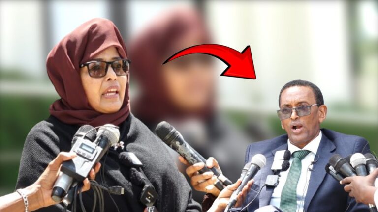 {DAAWO MUUQAALKA} Xildhibaan Xaawo Waa guul in maanta la ansixiyo sharciga naafada Soomaaliyeed