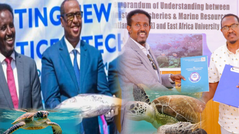 {DAAWO MUUQAALKA} Puntland oo Amaro Dul dhigtay Kalluumeeysatada ka Howlgala Deegaanadeeda