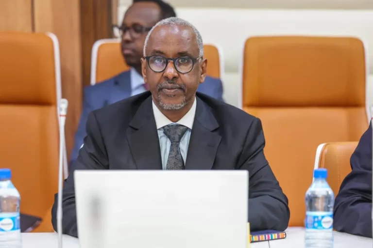 Policy disagreements over Hiiraan lead to Somali minister’s dismissal.