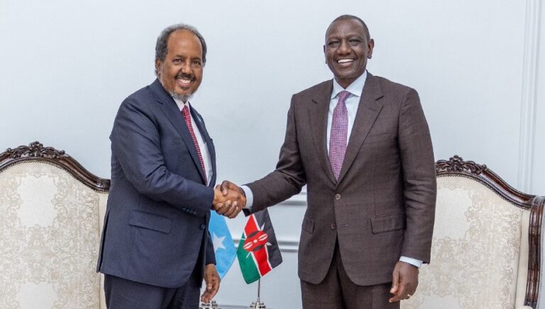 President Hassan meets his Kenyan counterpart on the sidelines of the AU summit.