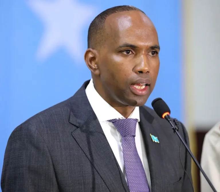 Raisul Wasaarihii hore ee Somalia Khayre oo ka hor yimid soo celinta Soomaalida Jarmalka