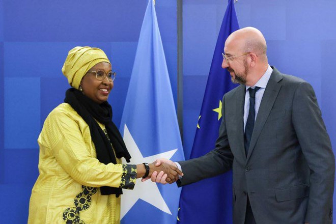 Somali Ambassador to EU presents credentials to European Council President.