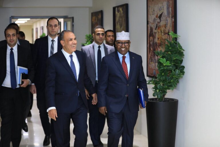 Strengthening Bilateral Ties: Somalia and Egypt Commit to Strategic Partnership.