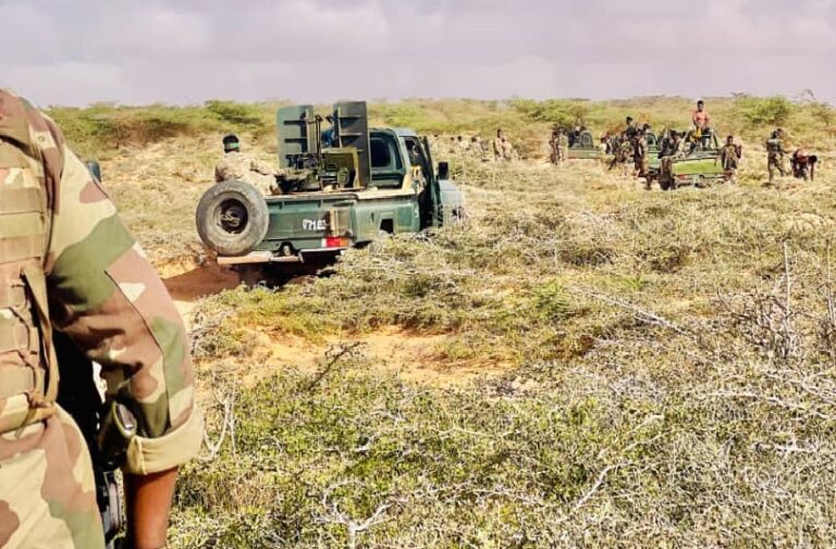 Somali forces and militias retake key Hiiraan territories from AS