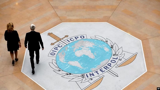 Interpol clamps down on cybercrime, arrests 1,006 suspects in Africa.