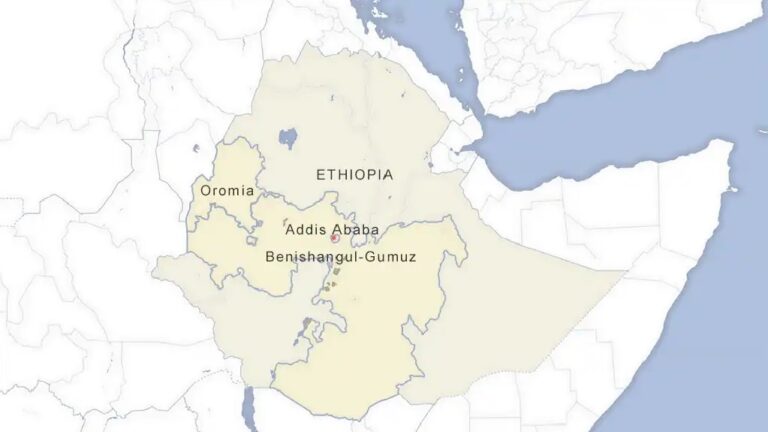 9 killed in Ethiopia Oromia region attack.