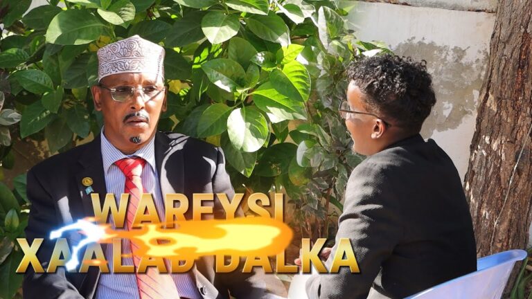 {DAAWO MUQAALKA} Wareeysi Xàalada siyasadeed Dalka iyo xildhibaàn Dàahir Amiin Jeesow