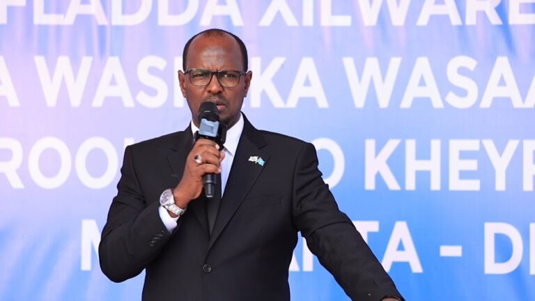 Somalia to announce first oil production by 2026, minister says