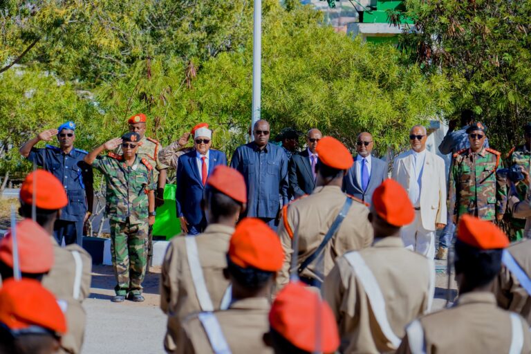 {DAAWO SAWIRADA} Madaxweyne Ciro Oo Kormeeray Taliska Guud Ee Ciidanka Somaliland.