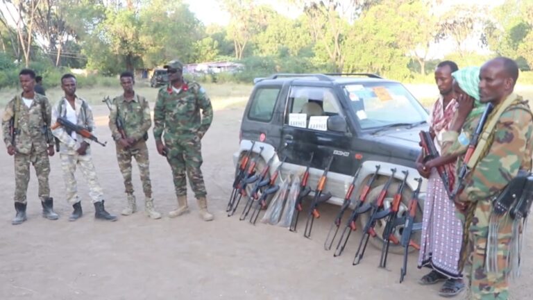 SNA, local forces intercept vehicle carrying arms for AS in Hiiraan.