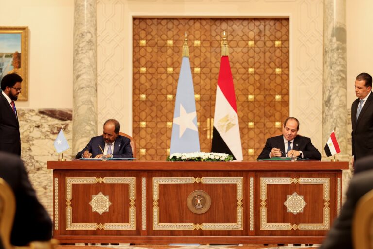 Egypt committed to providing military support to Somalia to eradicate terrorism: Joint declaration