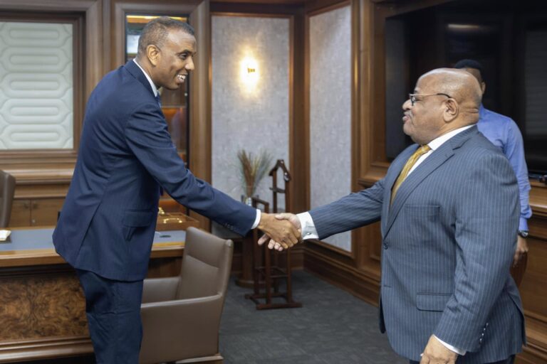 Maxaay Wada Hadleen Ra’iisul Wasaara Xamsa & Ambassador Maxamed El-amine Souef?