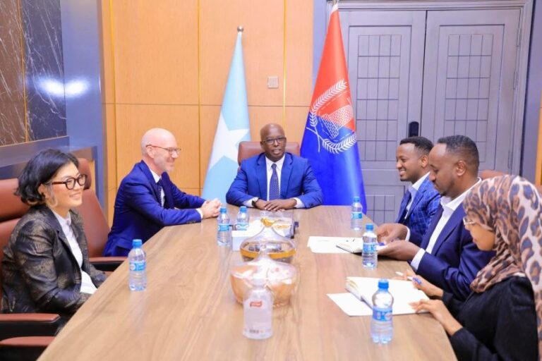 Mayor of Mogadishu receives UN delegation