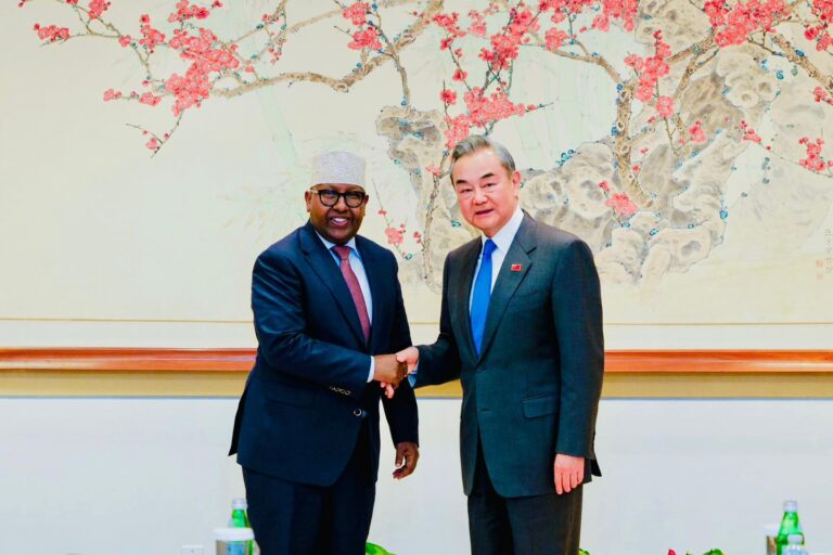 Somali FM Discusses Bilateral Relations with Chinese Counterpart.