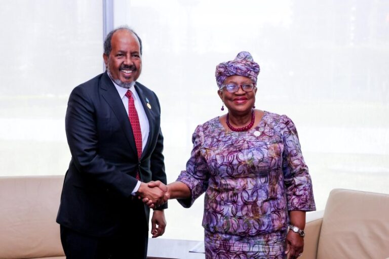 President Mohamud discusses Somalia’s accession to WTO with Director General.