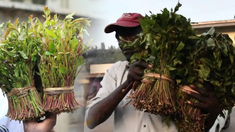 {DAAWO MUUQAALKA} Kenya oo labo laabtay qiimaha Khaadka ay u iib keento Soomaaliya