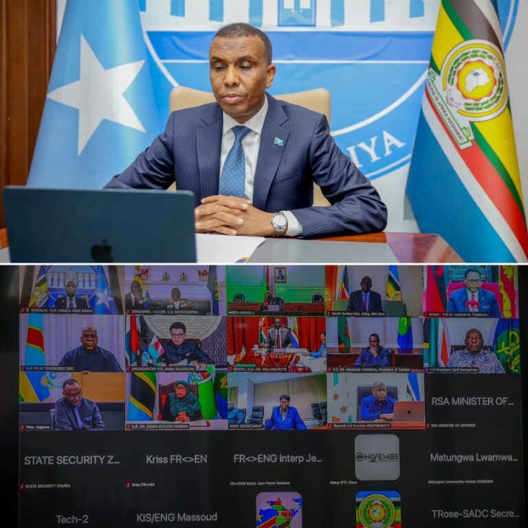 Prime Minister Hamza participates in a virtual joint Heads of State meeting of EAC and SADC.