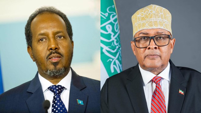 Somalia and Somaliland say no talks on resettling Palestinians from Gaza.